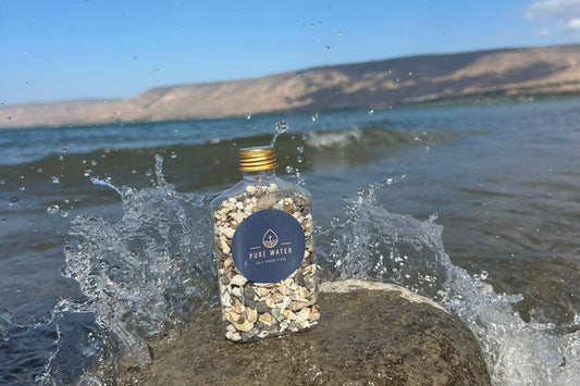 ISRAEL SEA OF GALILEE SHELLS STONE ROCK LIVE HOLY PERSONAL ROCK COLLECTING VIDEO