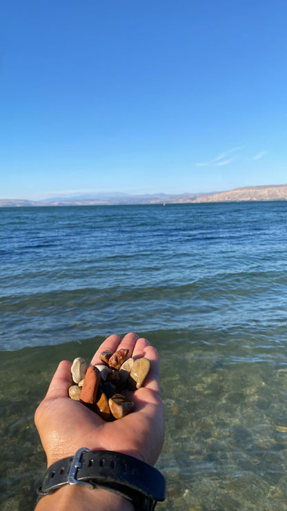 12 HOLY SEA OF GALILEE ROCKS WITH LIVE VIDEO OF ROCKS COLLECTION