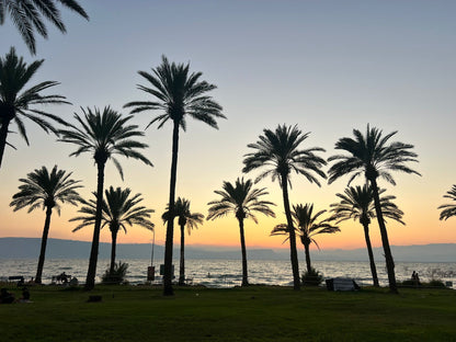 12 HOLY SEA OF GALILEE ROCKS WITH LIVE VIDEO OF ROCKS COLLECTION