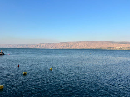 12 HOLY SEA OF GALILEE ROCKS WITH LIVE VIDEO OF ROCKS COLLECTION