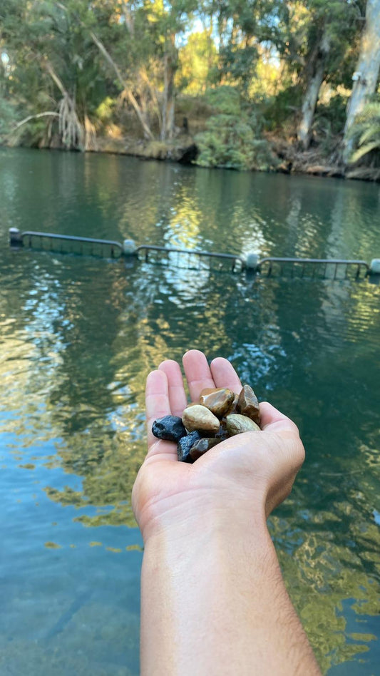 12 HOLY JORDAN RIVER STONES WITH LIVE PERSONAL VIDEO OF ROCKS COLLECTION