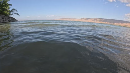 ISRAEL SEA OF GALILEE SHELLS STONE ROCK LIVE HOLY PERSONAL ROCK COLLECTING VIDEO