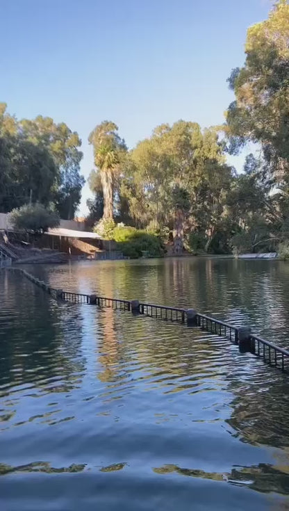 12 HOLY JORDAN RIVER STONES WITH LIVE PERSONAL VIDEO OF ROCKS COLLECTION